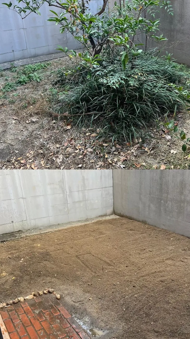 庭園のイメージ画像