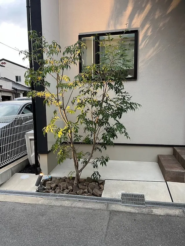 大阪市T様剪定作業